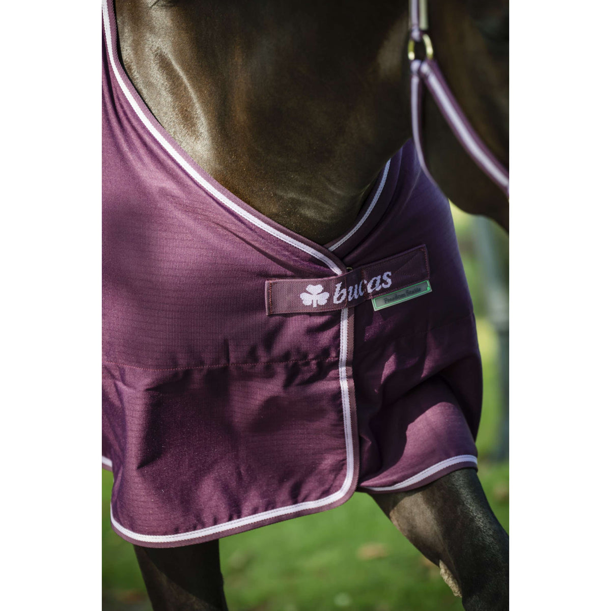 Bucas Freedom Couverture d'Écurie 300g Blackberry
