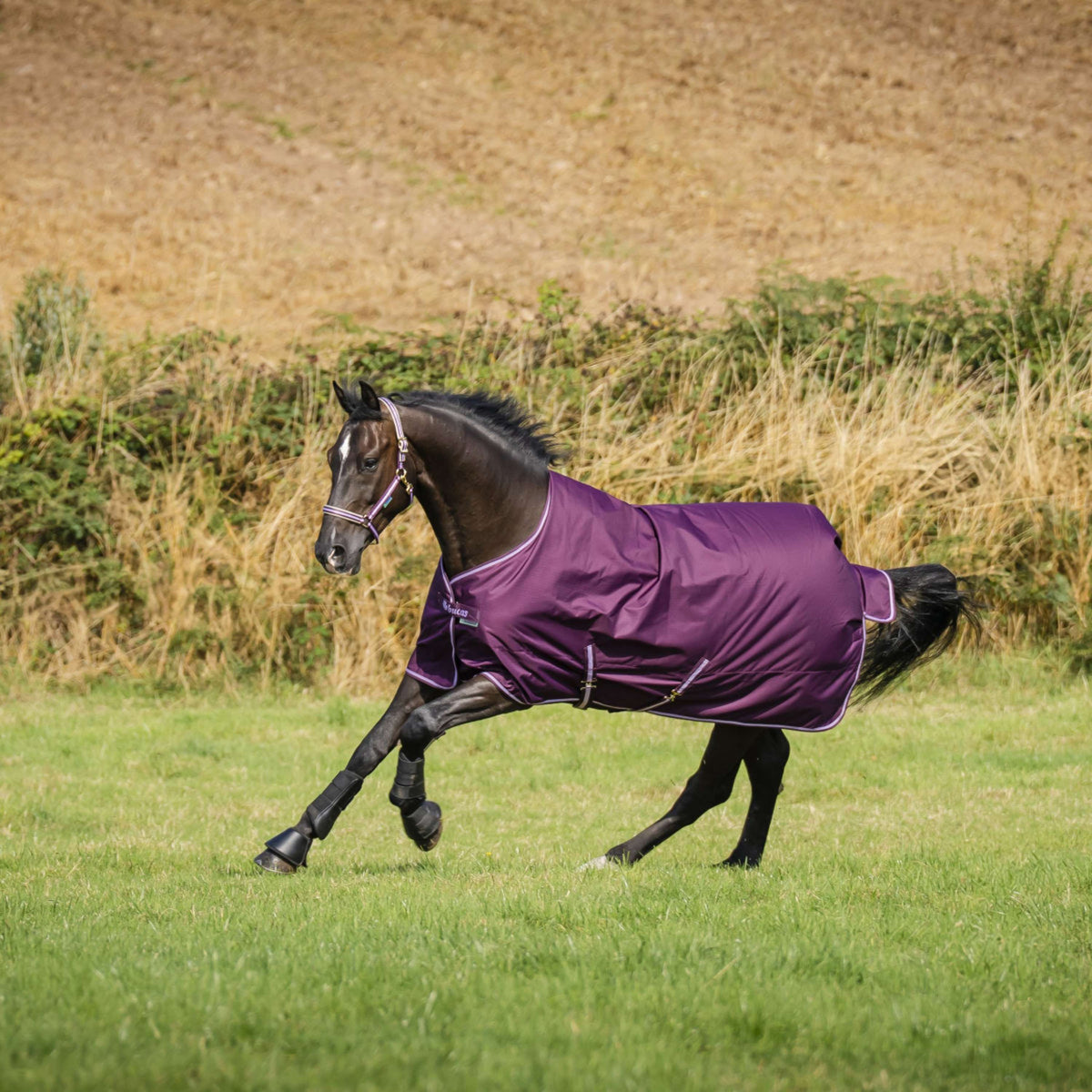 Bucas Freedom Turnout 300g Blackberry