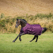 Bucas Freedom Turnout 300g Blackberry