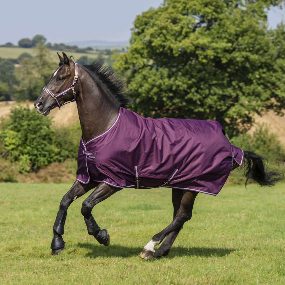 Bucas Freedom Turnout 150g Blackberry