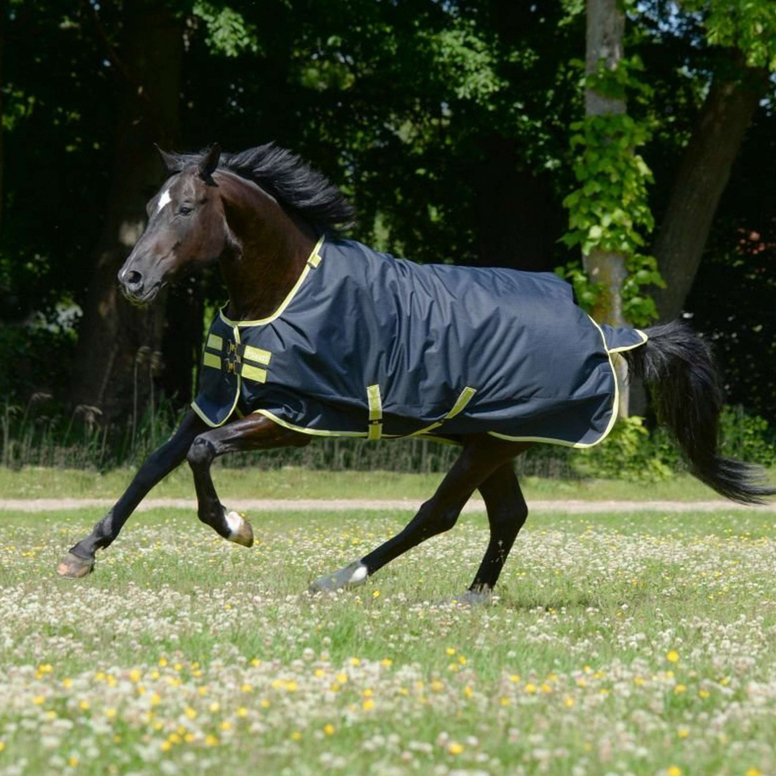 Bucas Oasis Turnout Neck 200g Dark Grey/Lime Bucas Oasis Turnout Neck 200g Dark Grey/Lime