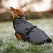 Bucas Tapis pour Chien Reflectglow Reflectglow