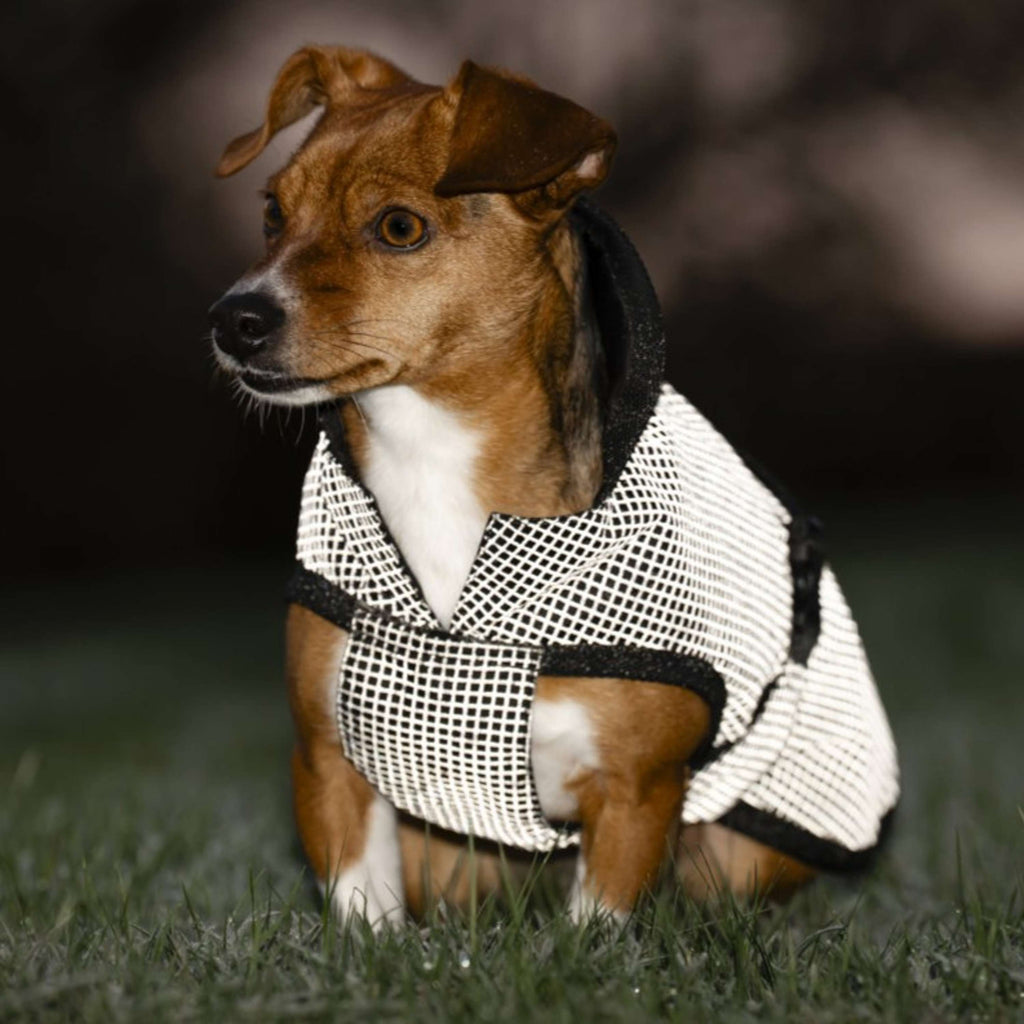 Bucas Tapis pour Chien Reflectglow Reflectglow