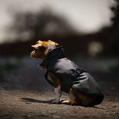 Bucas Tapis pour Chien Reflectglow Reflectglow