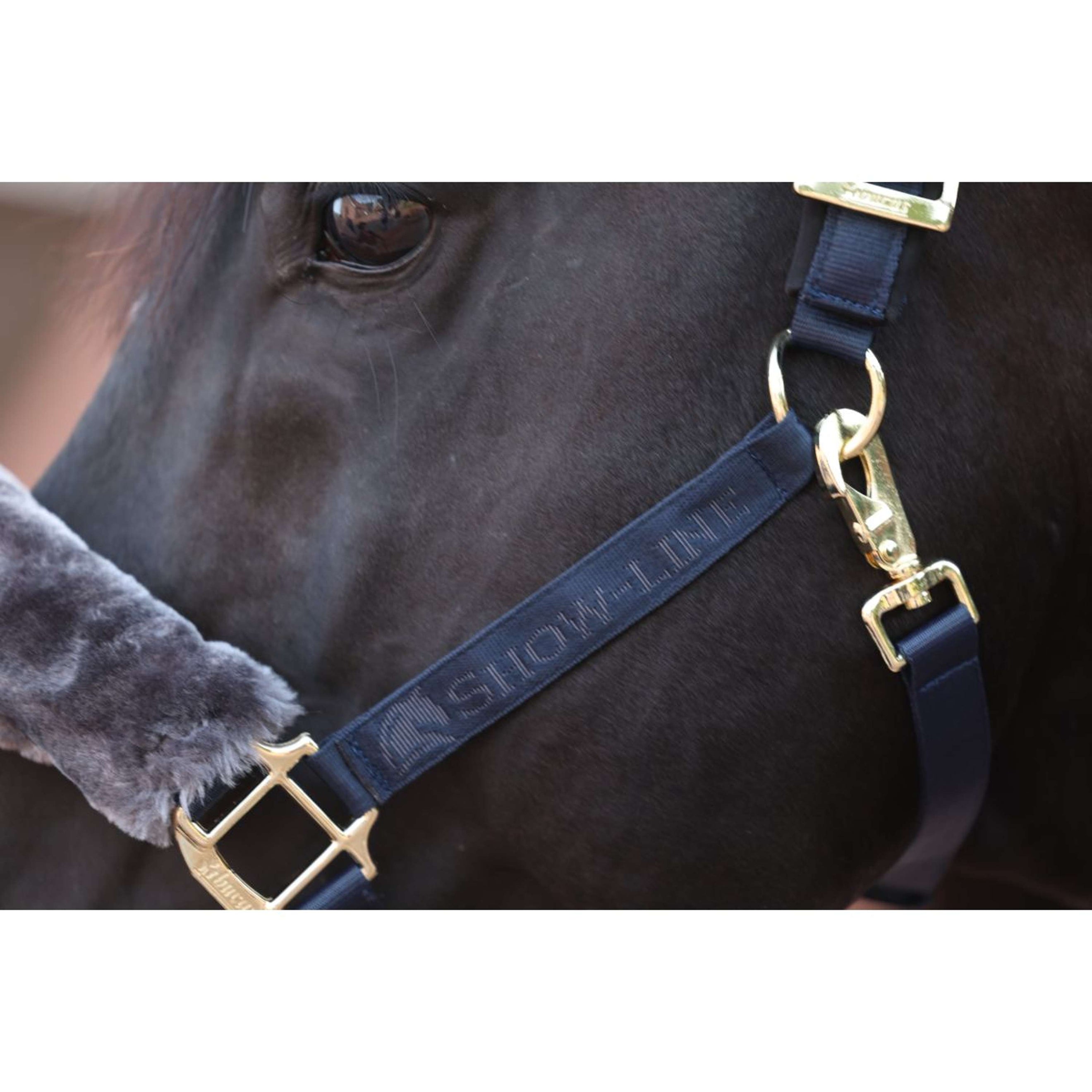 Bucas Licol Show-Line Marine/Gris