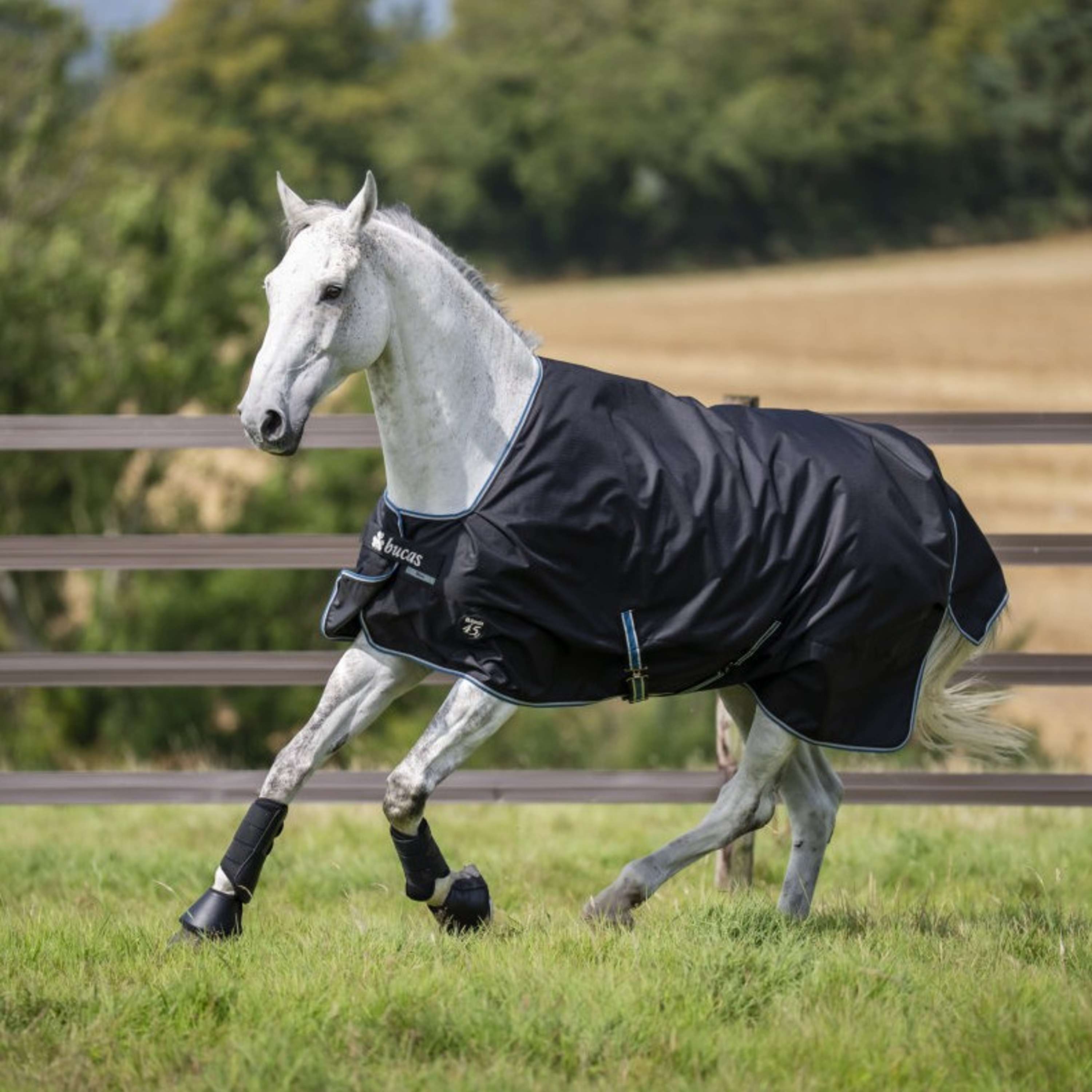 Bucas Anniversary Turnout Light Stay-dry 0g Sapphire