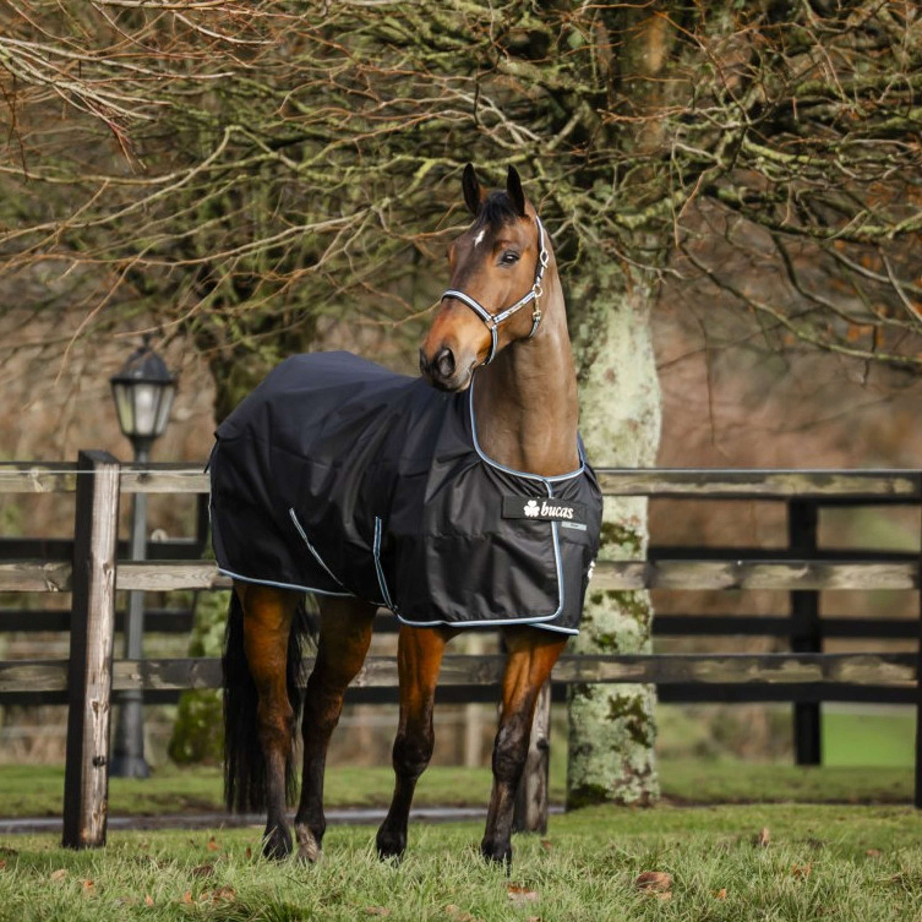 Bucas Anniversary Turnout Light Stay-dry 0g Sapphire