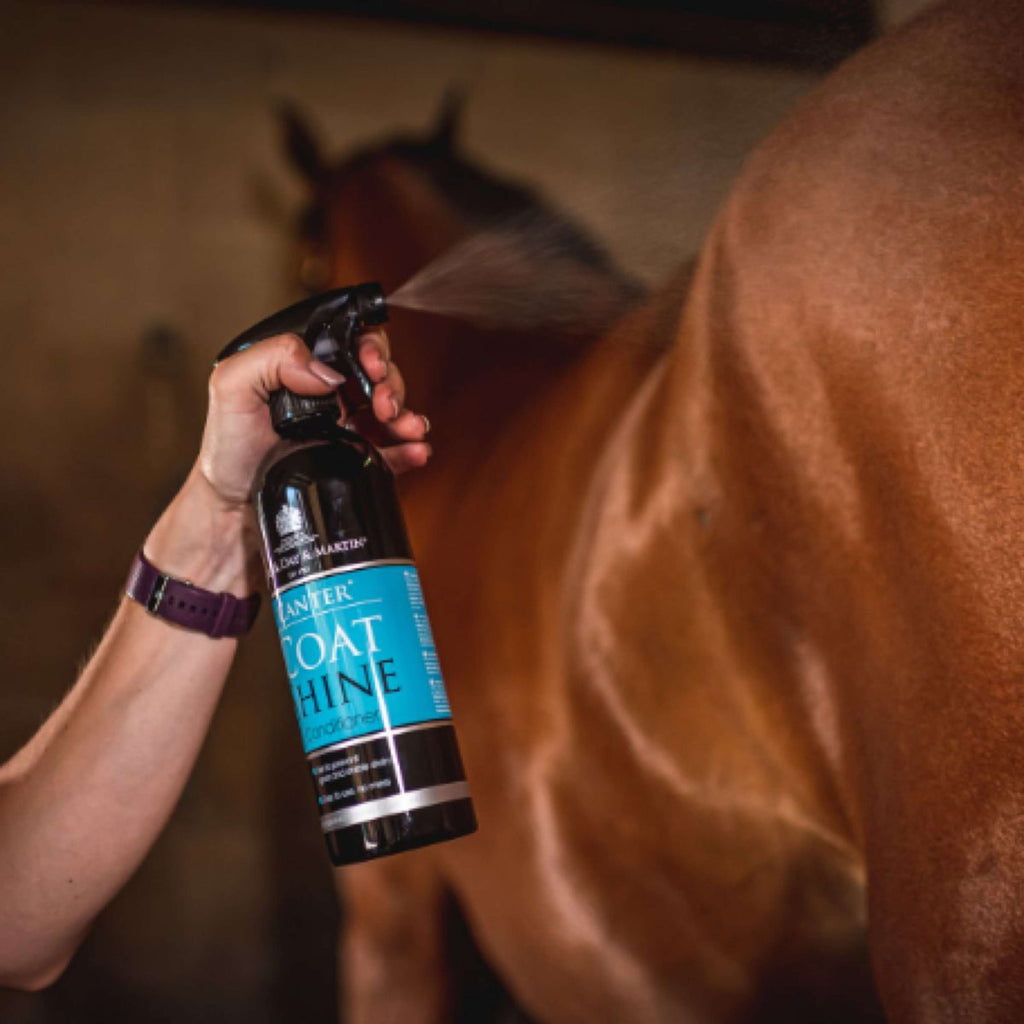 Carr & Day & Martin Spray Lustrant Canter Coat Shine
