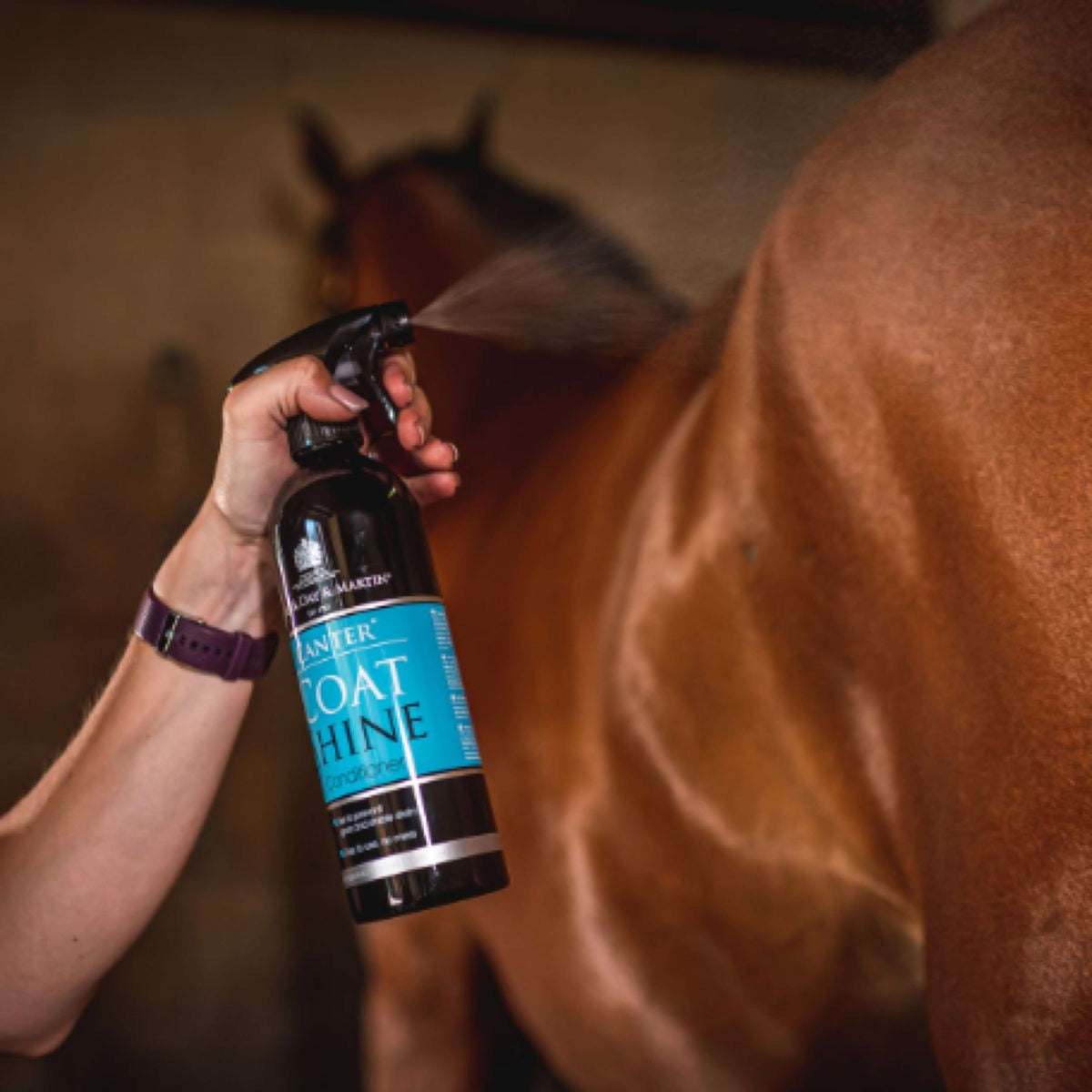 Carr & Day & Martin Spray Lustrant Canter Coat Shine