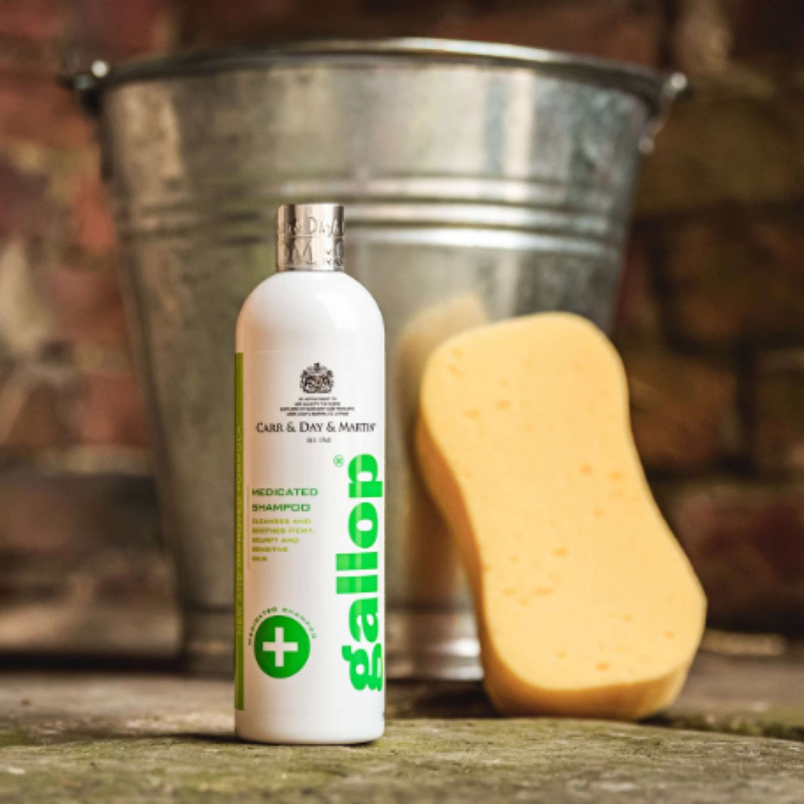 Carr & Day & Martin Shampoo Medicated Skin Carr & Day & Martin Shampoo Medicated Skin
