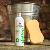 Carr & Day & Martin Shampoo Medicated Skin