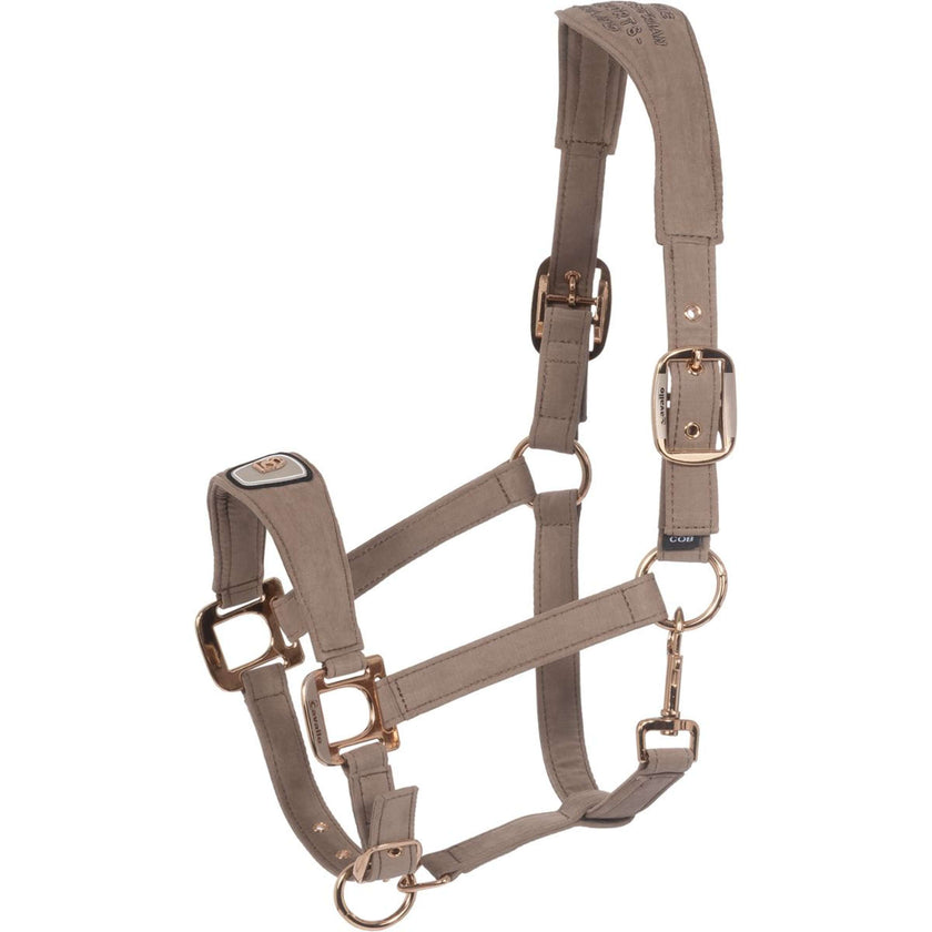 Cavallo Licol CavalPawel Mocha Latte Cavallo Licol CavalPawel Mocha Latte