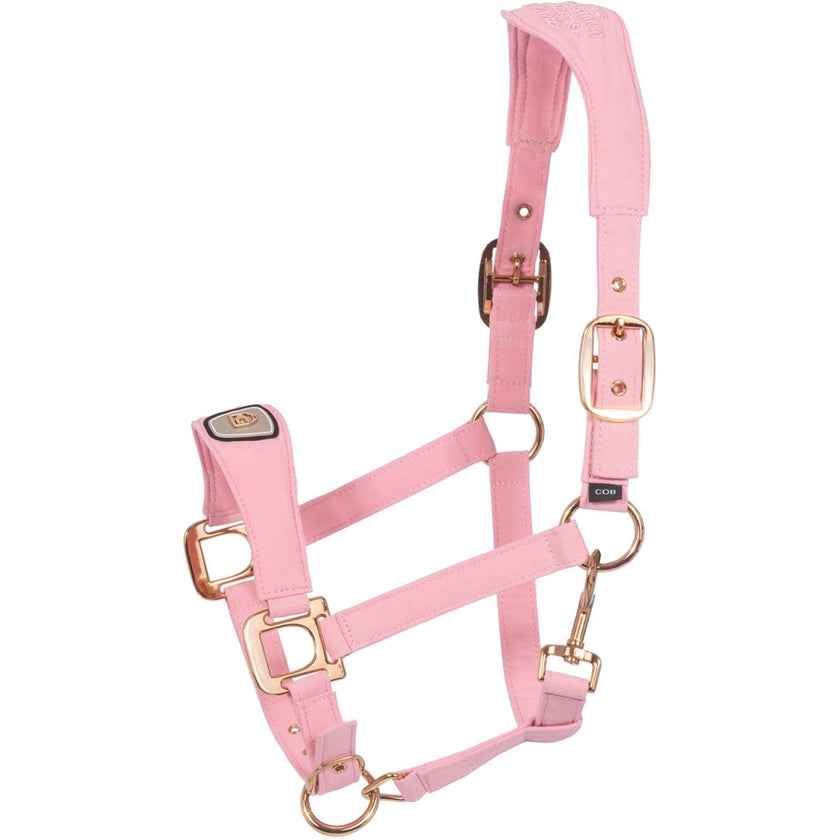 Cavallo Licol CavalPawel Powder Pink Cavallo Licol CavalPawel Powder Pink