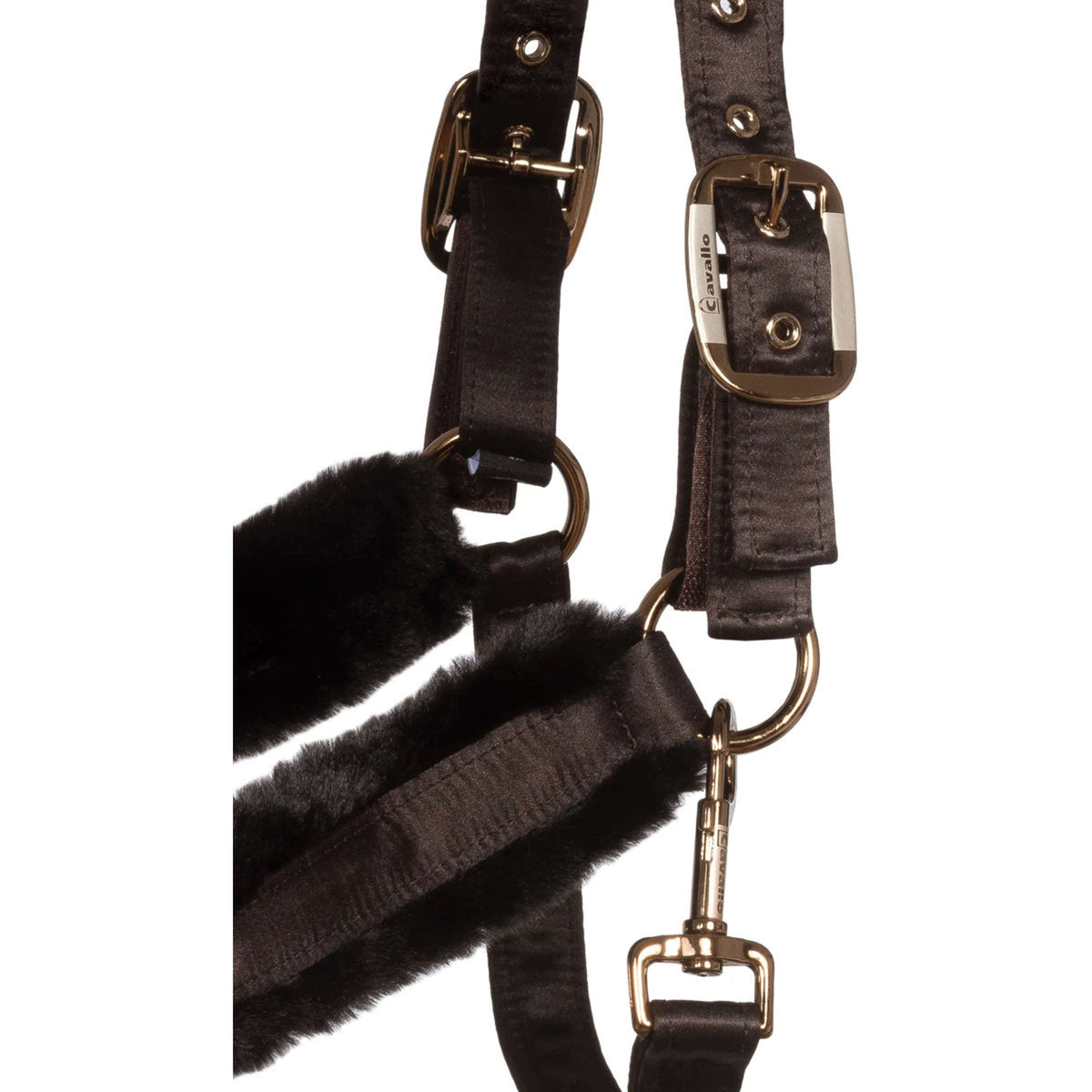 Cavallo Licol CavalJero avec Fourrure Café Noir