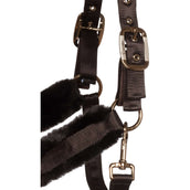 Cavallo Licol CavalJero avec Fourrure Café Noir
