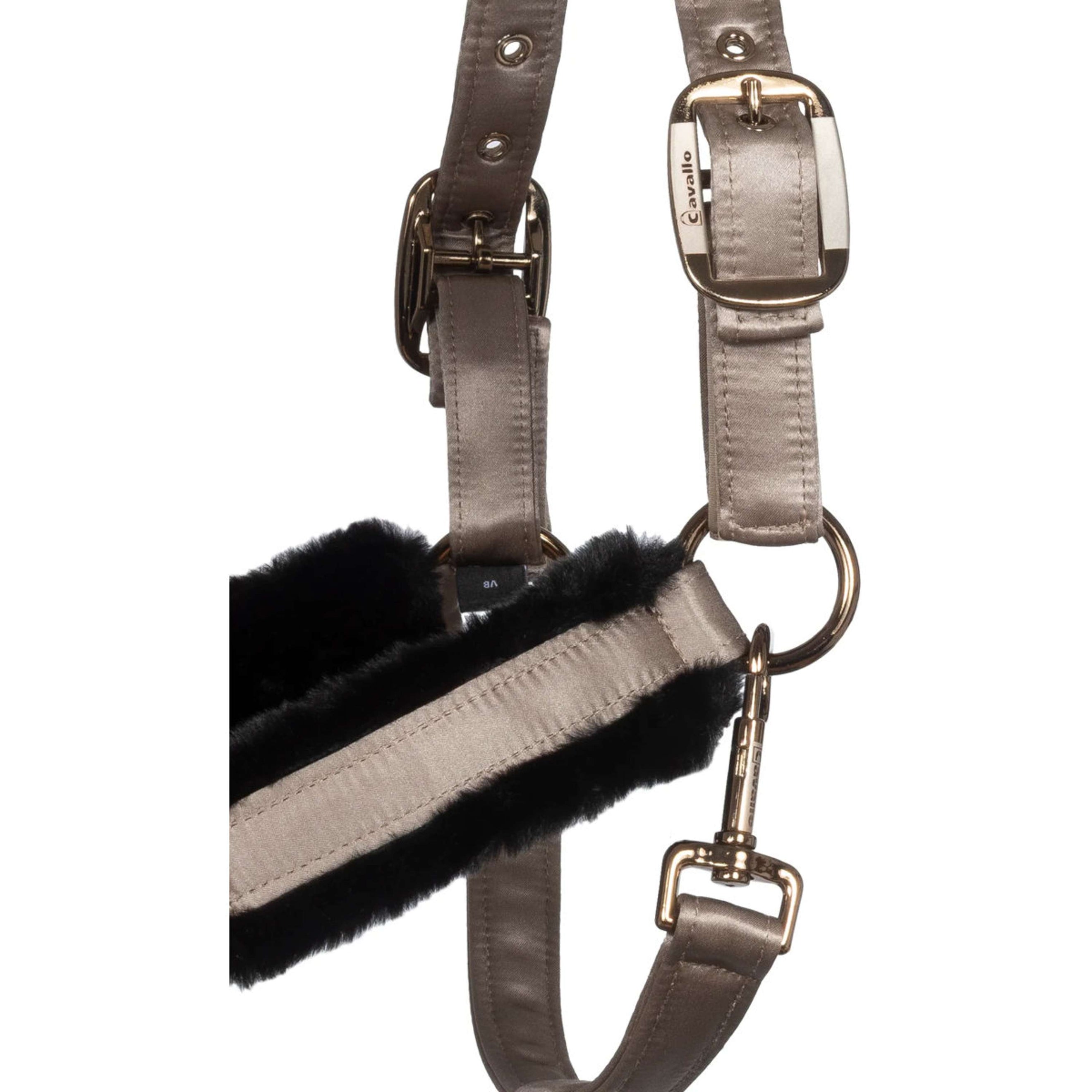 Cavallo Licol CavalJero avec Fourrure Latte Cavallo Licol CavalJero avec Fourrure Latte