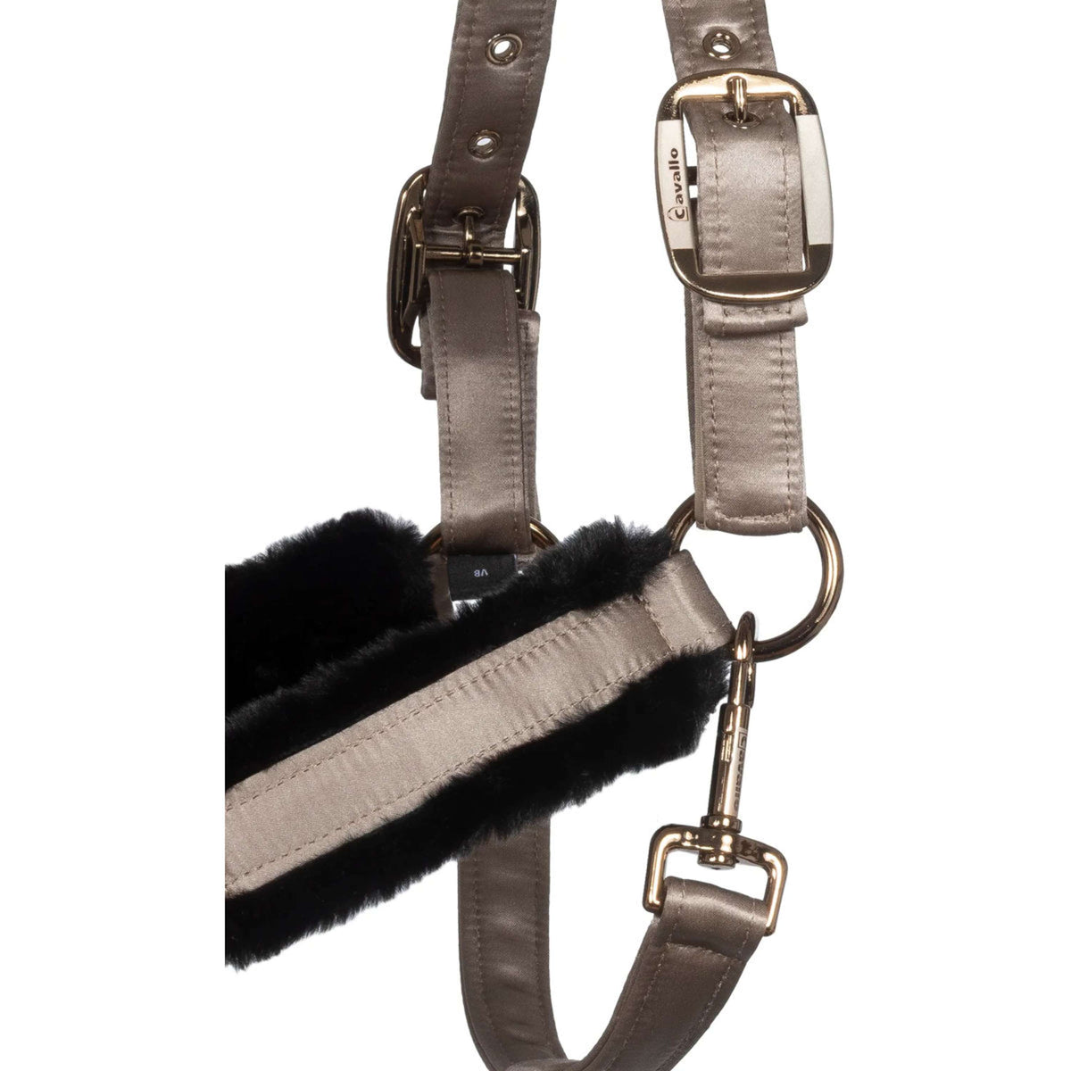 Cavallo Licol CavalJero avec Fourrure Latte