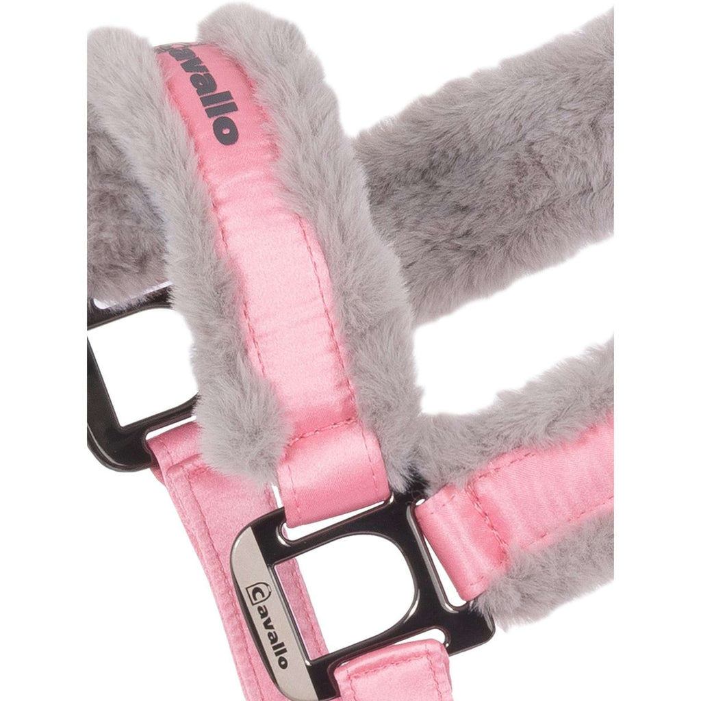 Cavallo Licol CavalJero Powder Pink