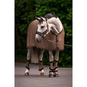 Cavallo Licol CavalJero Mocha Latte