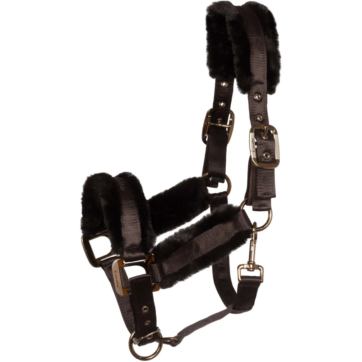 Cavallo Licol CavalJero avec Fourrure Café Noir