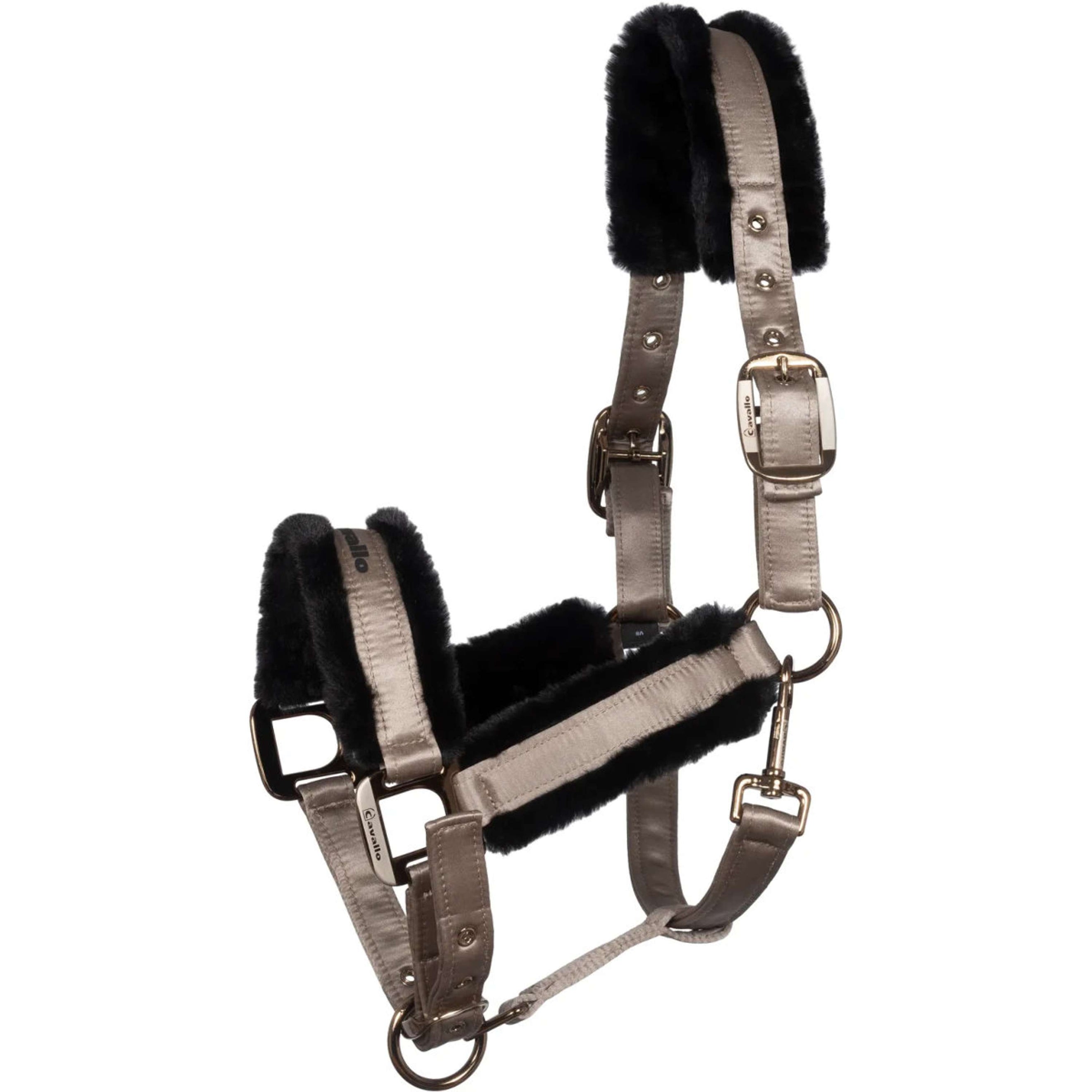 Cavallo Licol CavalJero avec Fourrure Latte