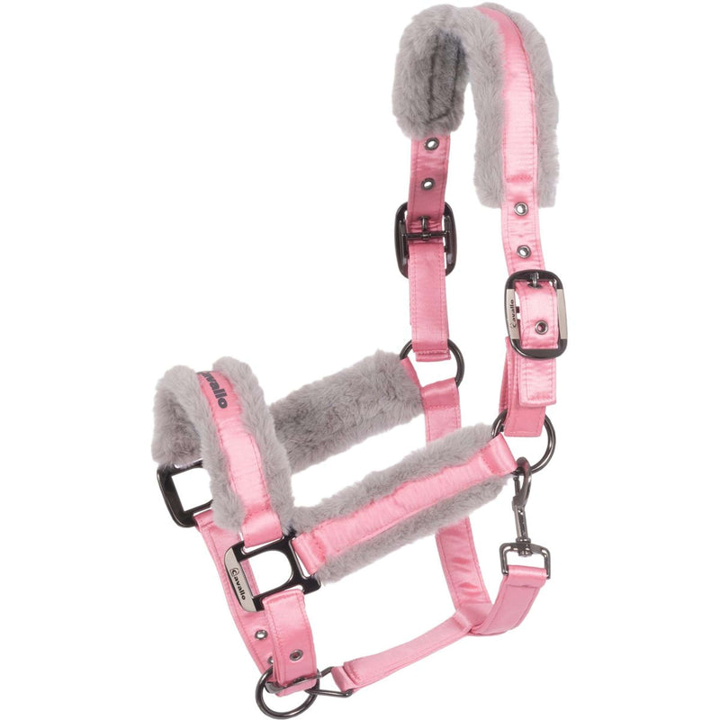 Cavallo Licol CavalJero Powder Pink
