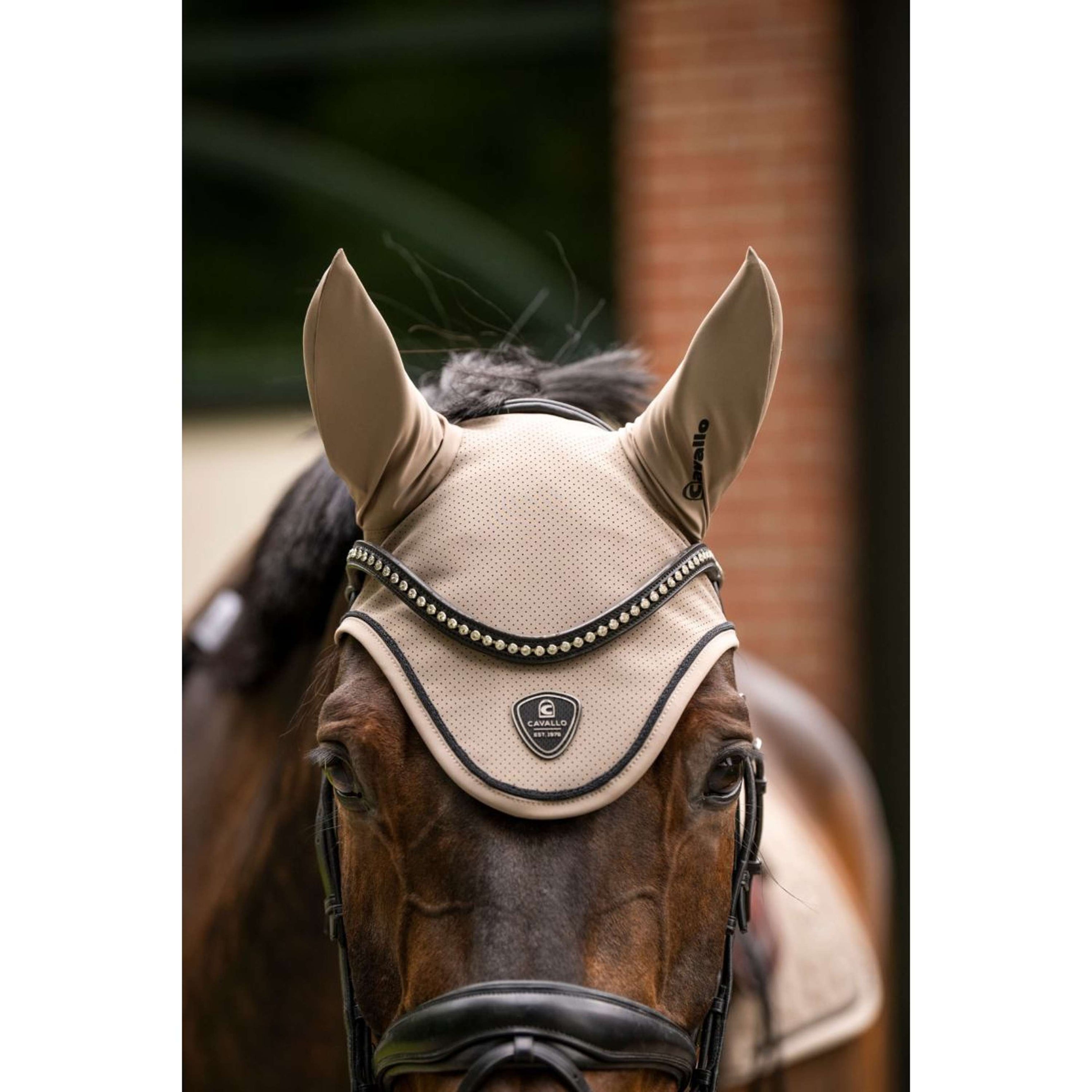 Cavallo Bonnet Anti-Mouches CavalJackie Mocha Latte Cavallo Bonnet Anti-Mouches CavalJackie Mocha Latte