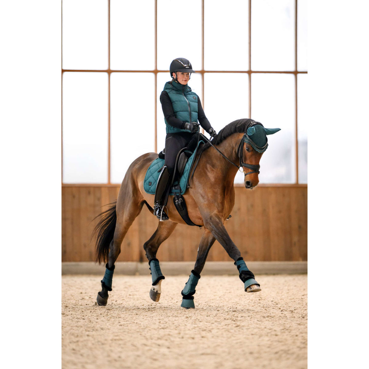 Cavallo Cloches d'Obstacles CavalJodi Dark Peacock