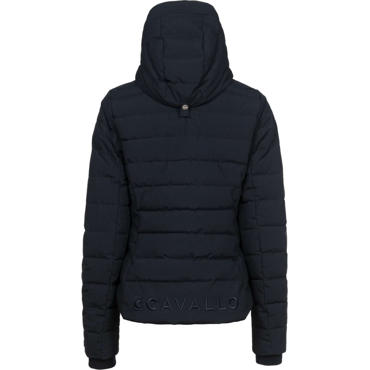Cavallo Veste CavalDanet Bleu foncé