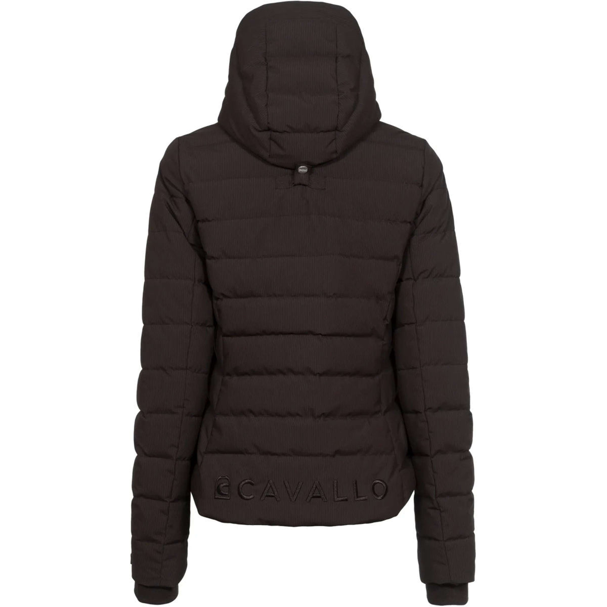 Cavallo Veste CavalDanet Café Noir