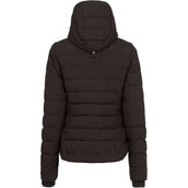 Cavallo Veste CavalDanet Café Noir