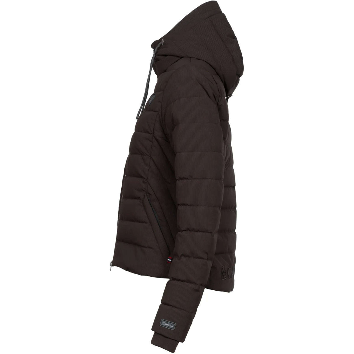 Cavallo Veste CavalDanet Café Noir