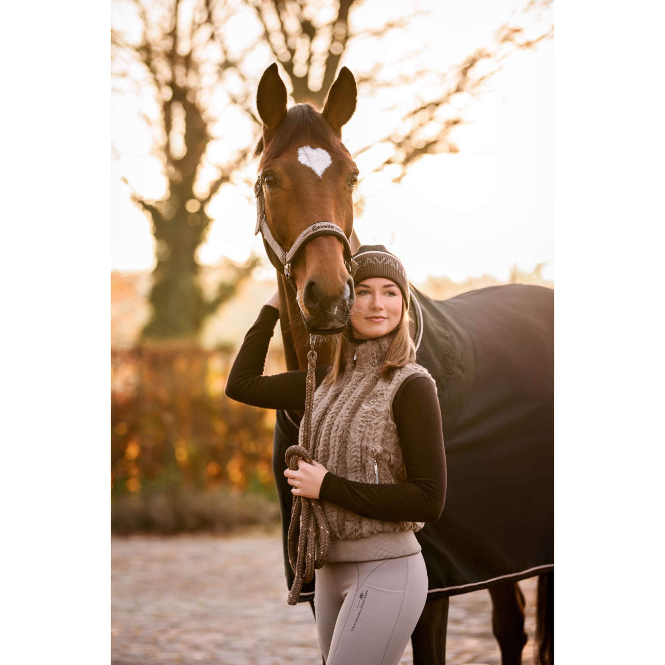 Cavallo Licol CavalRose Latte