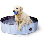 CoolPets Piscine pour Chien Splash