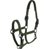 Covalliero Licol AW26 Forest Green