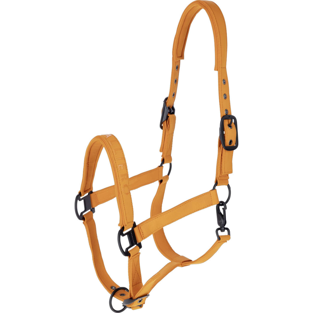 Covalliero Licol AW26 Orange