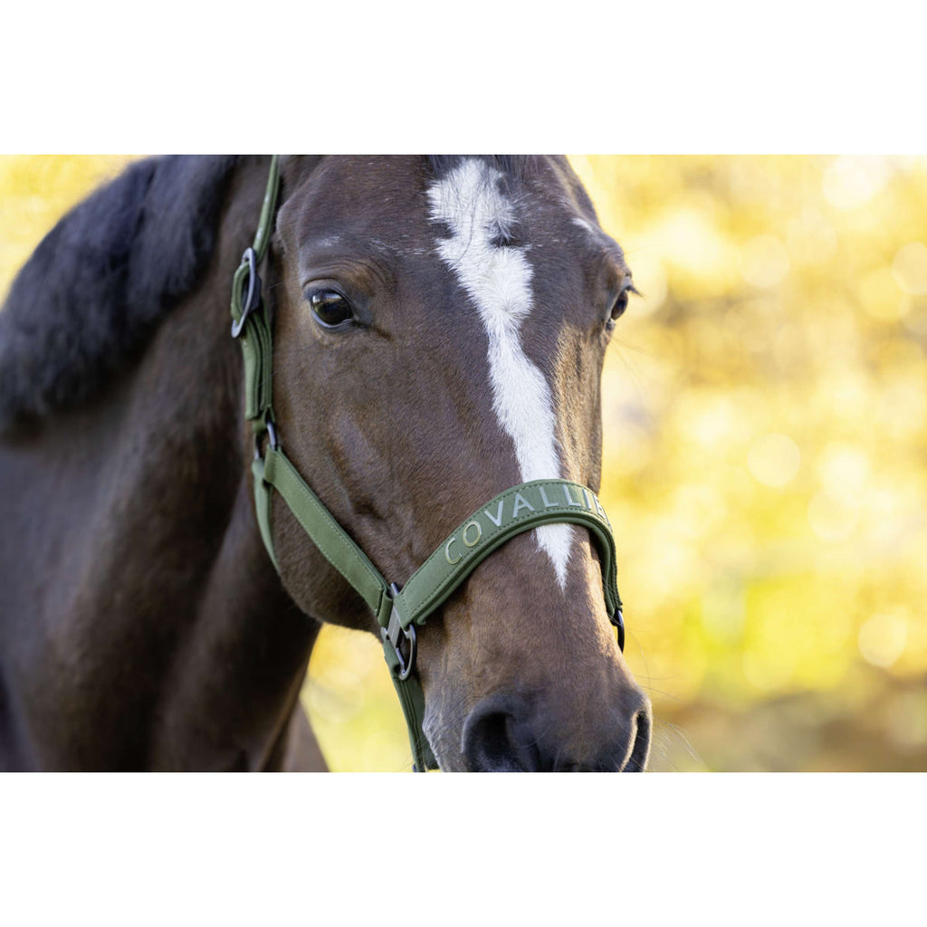 Covalliero Licol AW26 Forest Green
