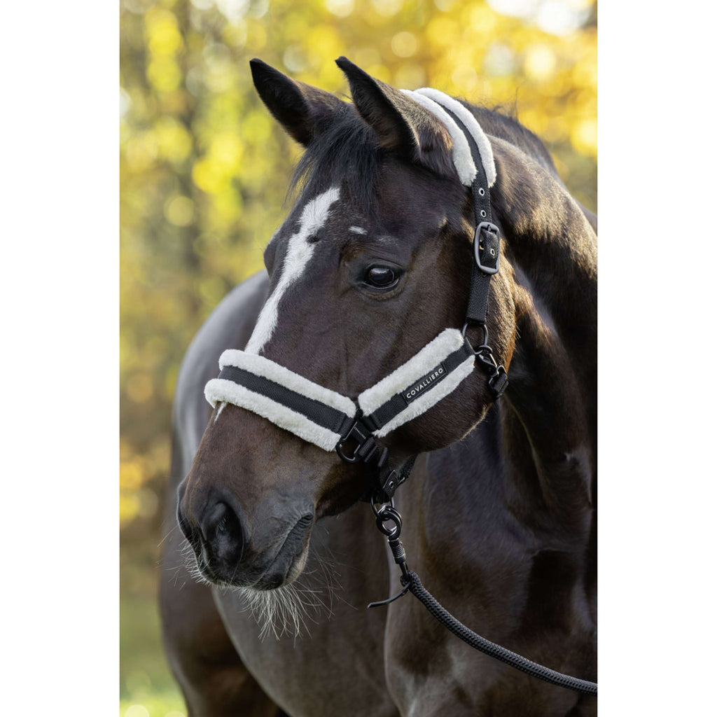 Covalliero Licol Soft AW26 Noir