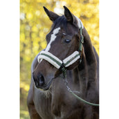 Covalliero Licol Soft AW26 Forest Green
