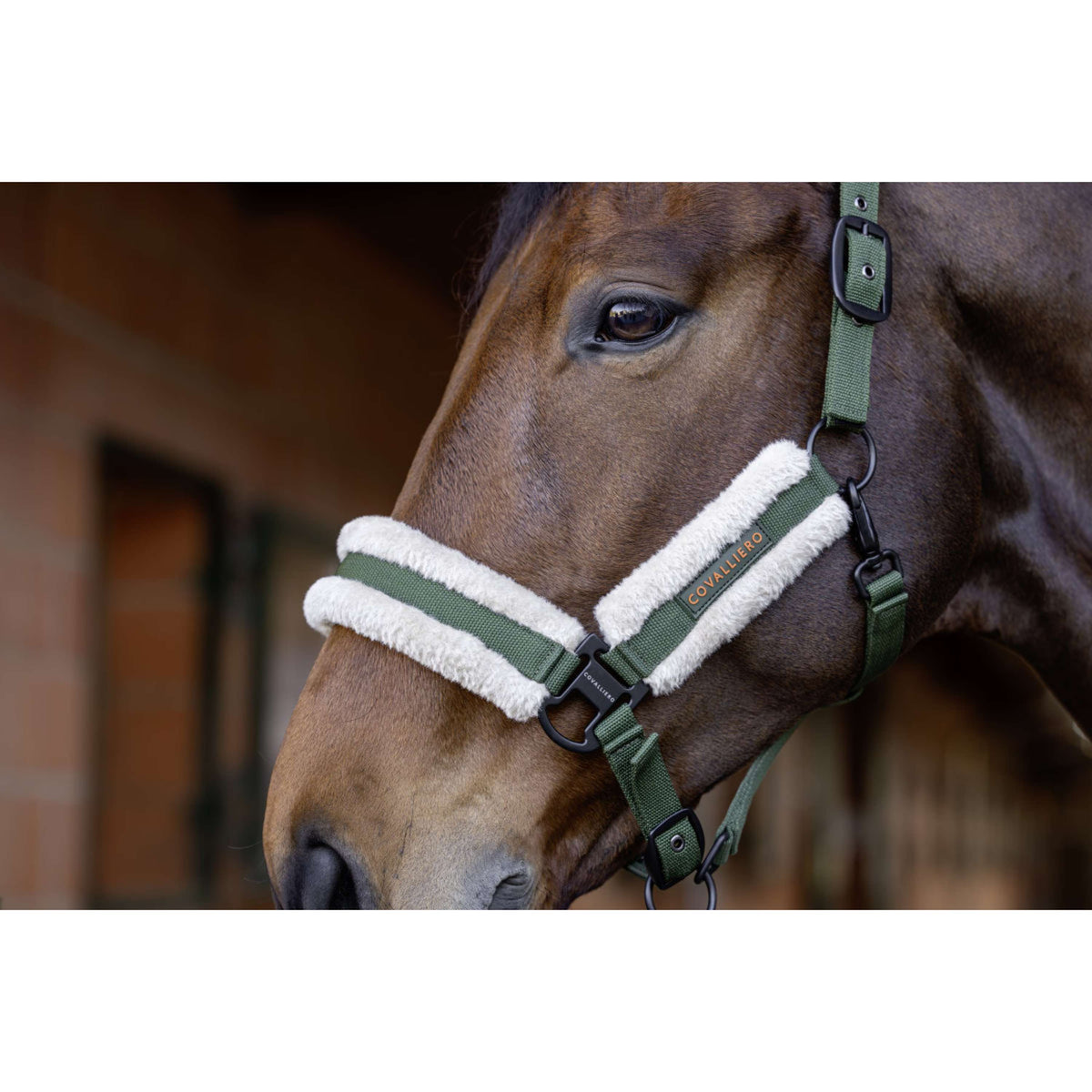 Covalliero Licol Soft AW26 Forest Green