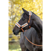 Covalliero Licol Soft AW26 Orange