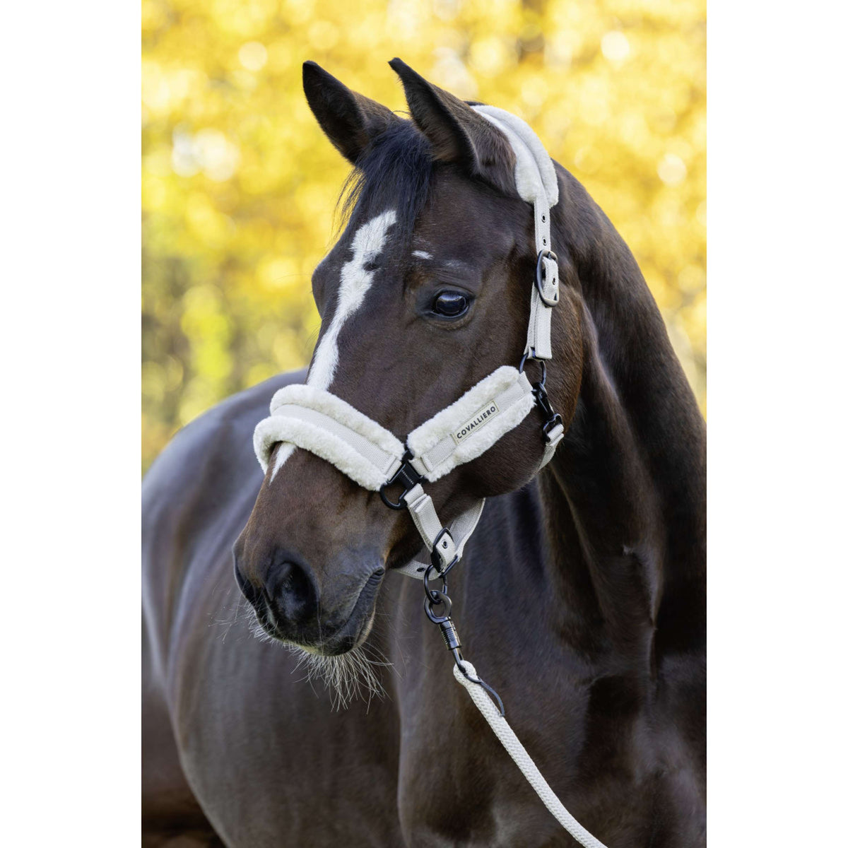 Covalliero Licol Soft AW26 Beige