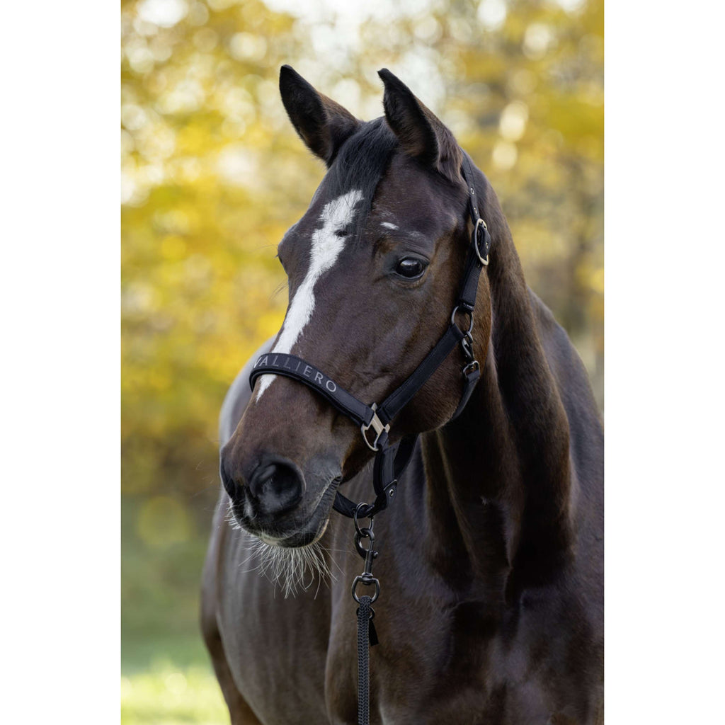 Covalliero Licol AW26 Noir