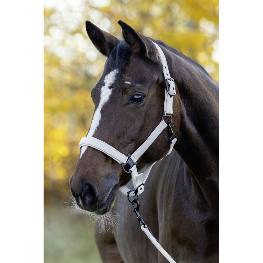 Covalliero Licol AW26 Beige