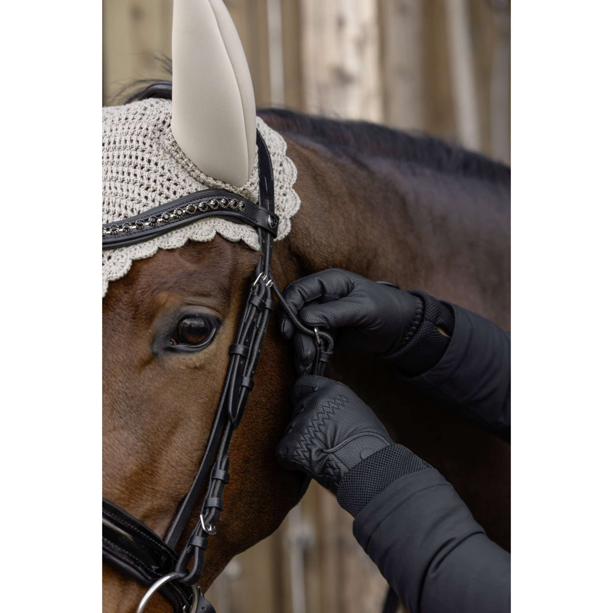 Covalliero Gants d'Équitation AW26 Noir