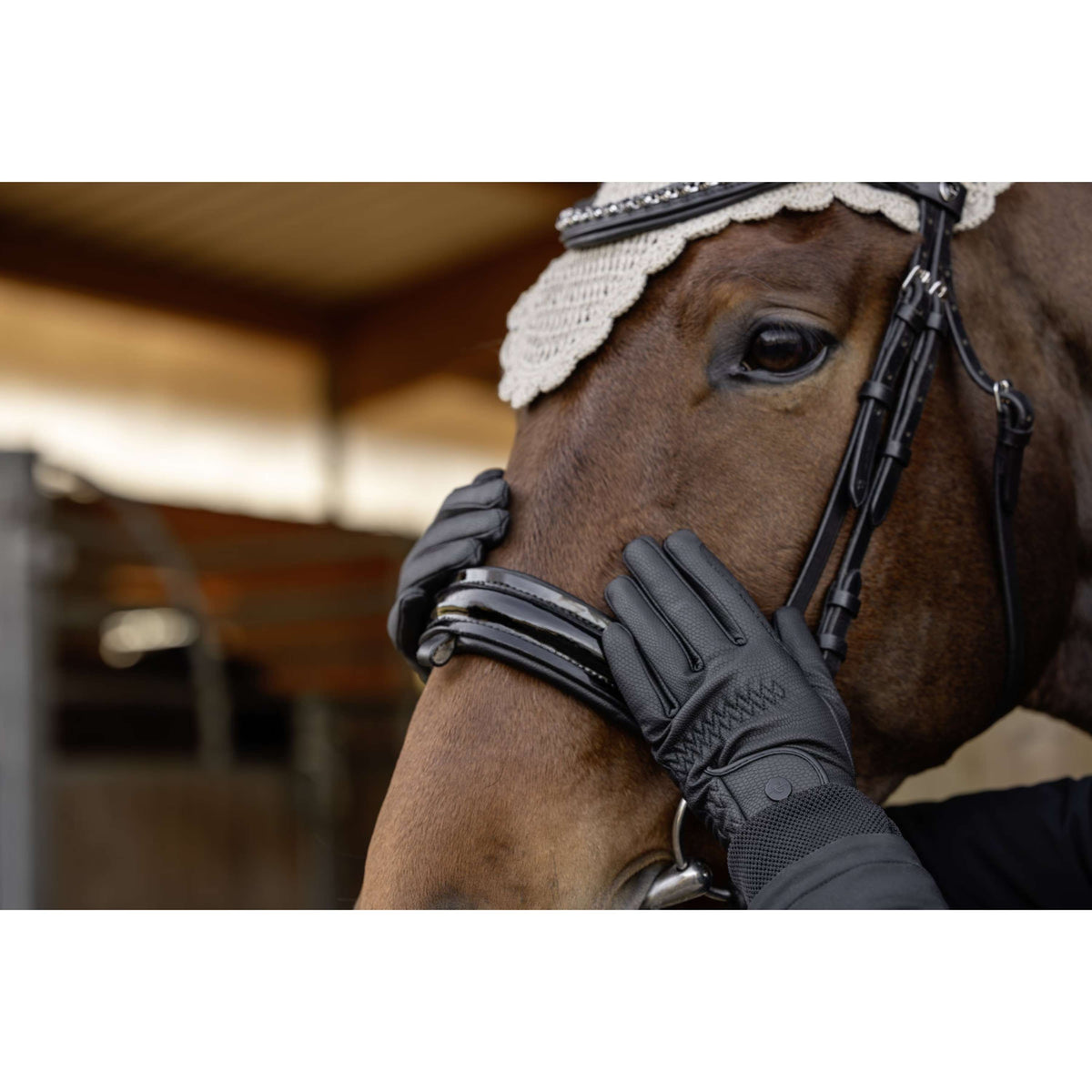 Covalliero Gants d'Équitation AW26 Noir