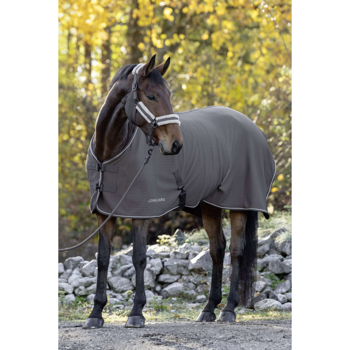 Covalliero Couvertures Anti-Transpiration Premium AW26 Milky Chocolate