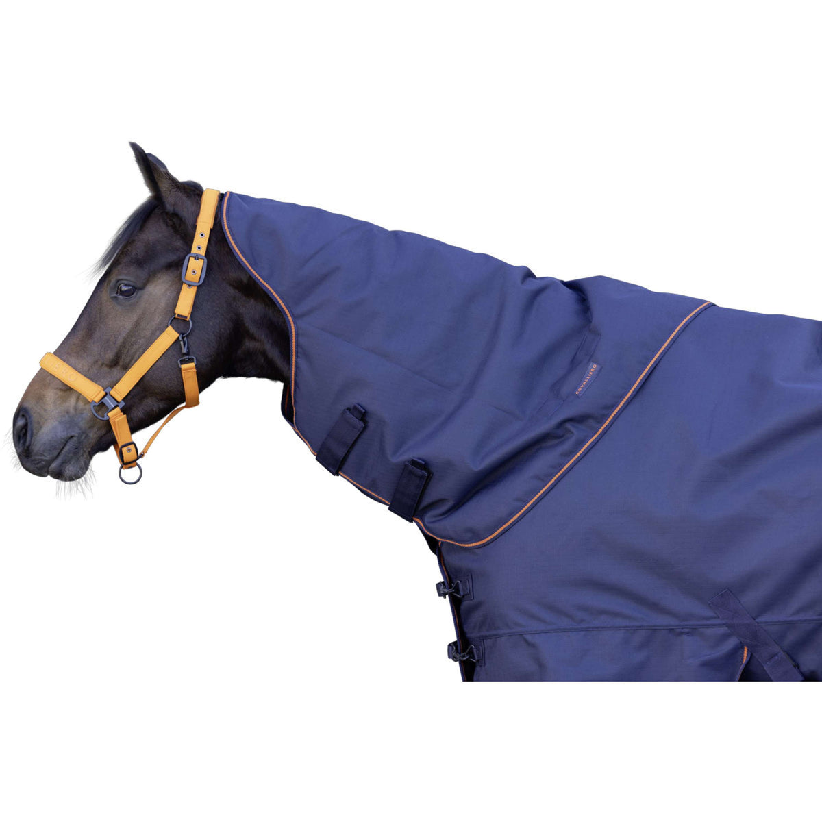 Covalliero Couvre-Cou AW26 100g Marin foncé
