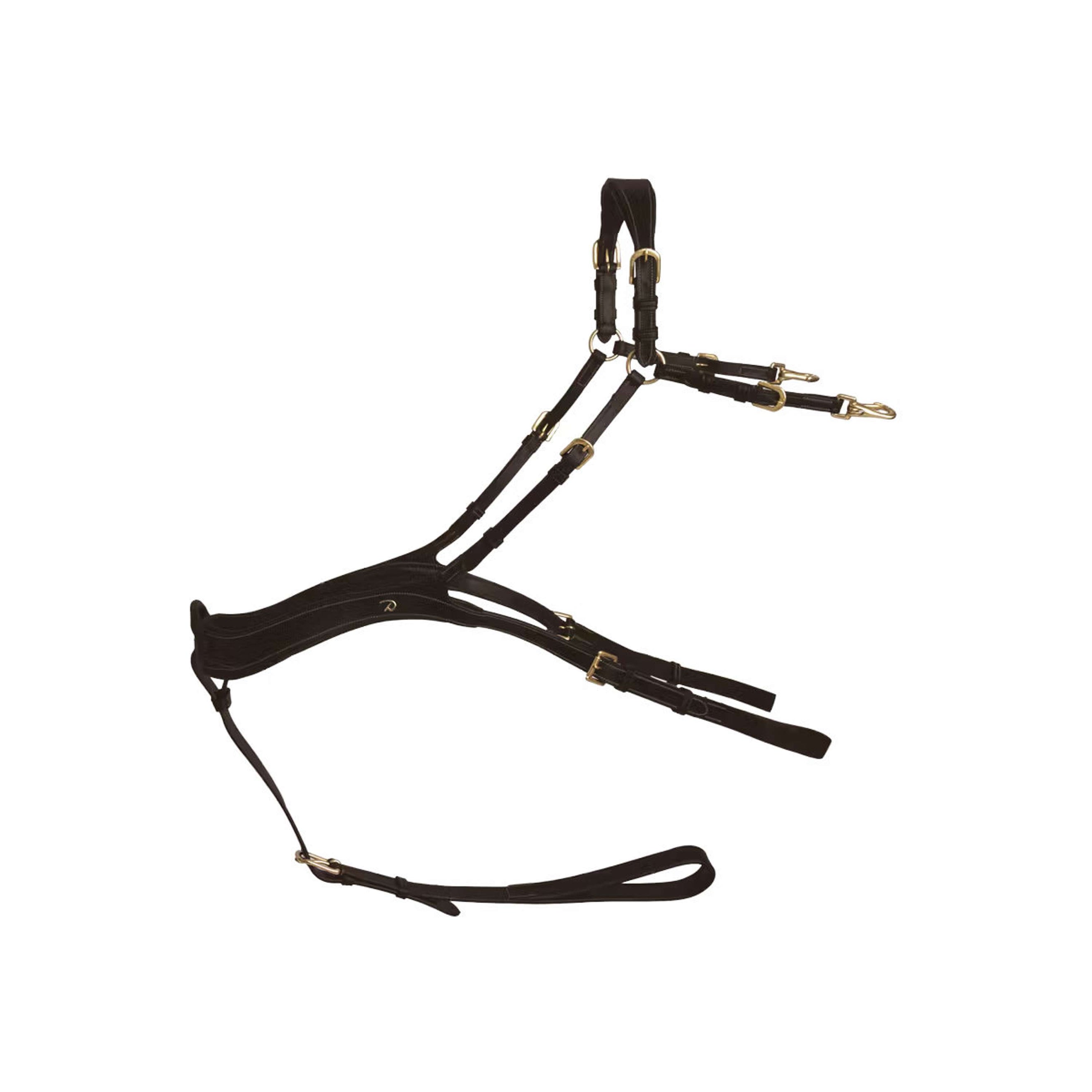 Dyon Collier de Chasse Anatomical Marron/Cuivre Dyon Collier de Chasse Anatomical Marron/Cuivre