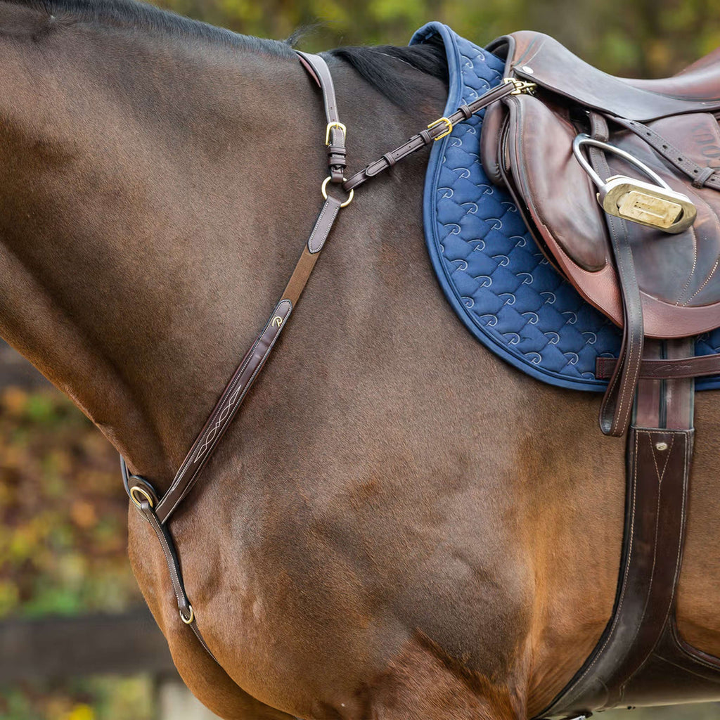 Dyon Collier de Chasse Bridge Marron/Cuivre